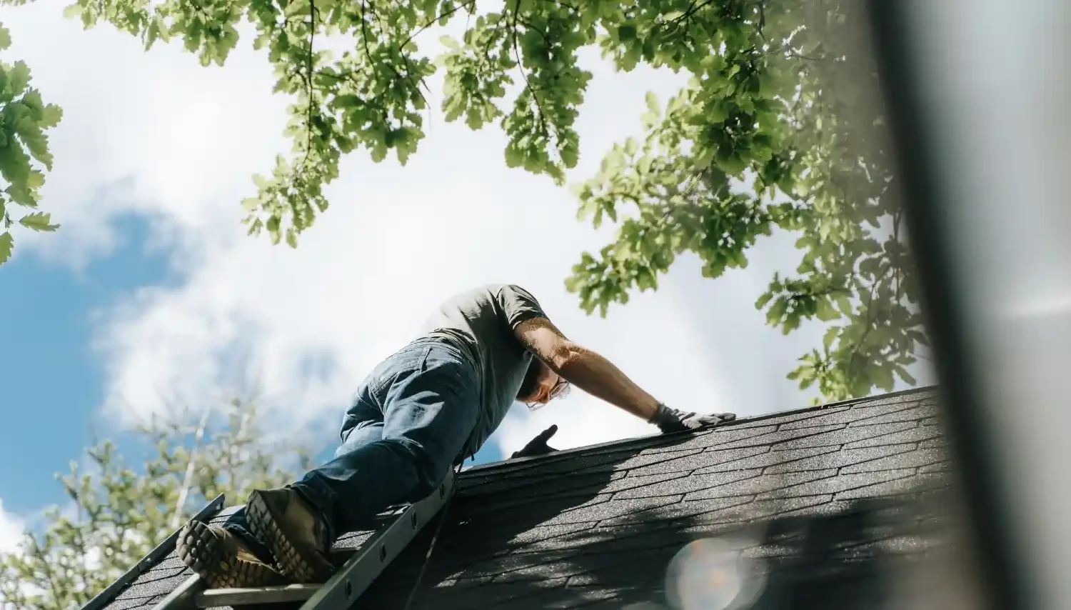 Signs You Need a Roof Replacement Right Away