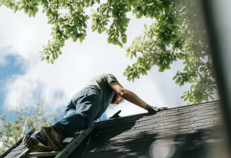 Signs You Need a Roof Replacement Right Away